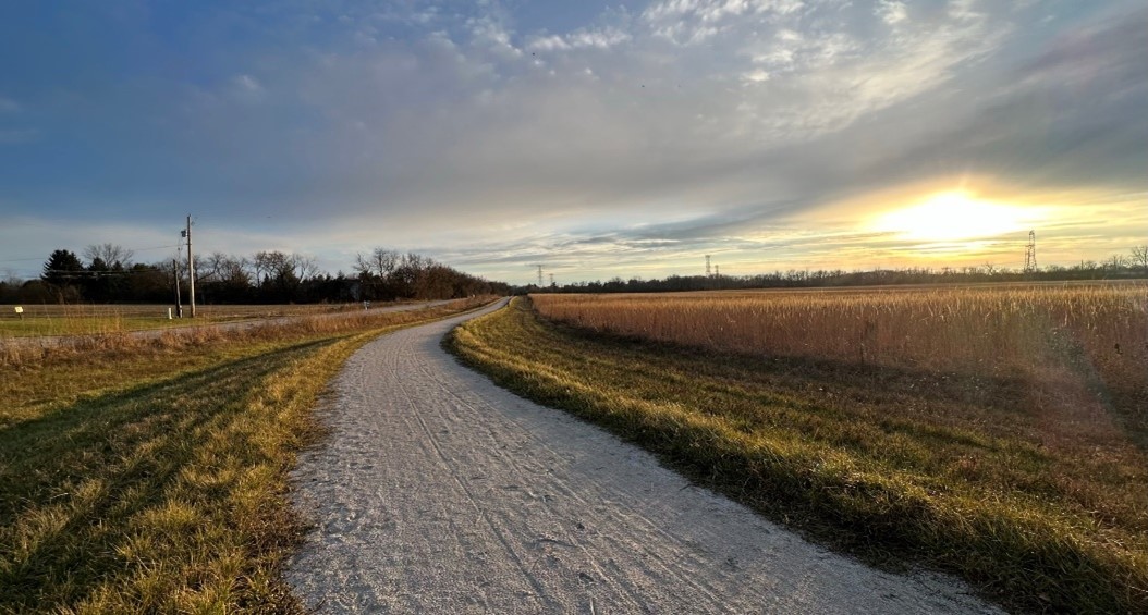 An image of a gravel trail that travels through a field to forest in the background.