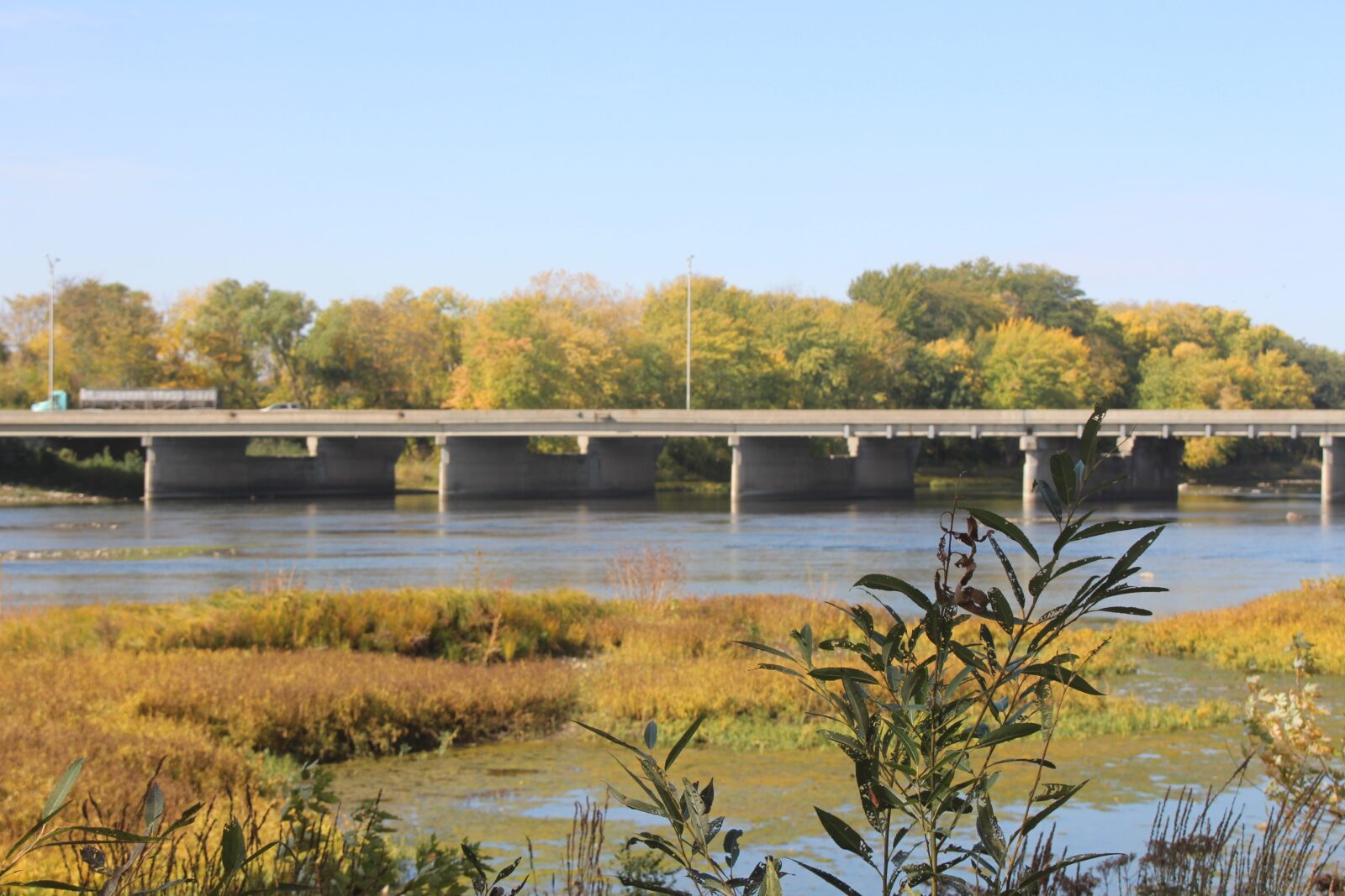 An image of a concrete bridge over a river. There are river plants in the foreground.